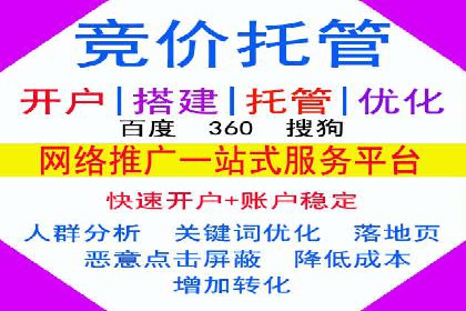 旅游行业SEM推广的实战案例分析